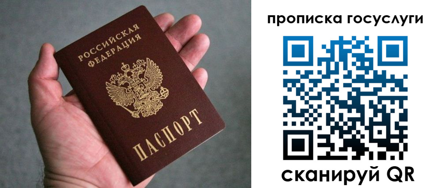 прописка 2025 в Солнечногорске
